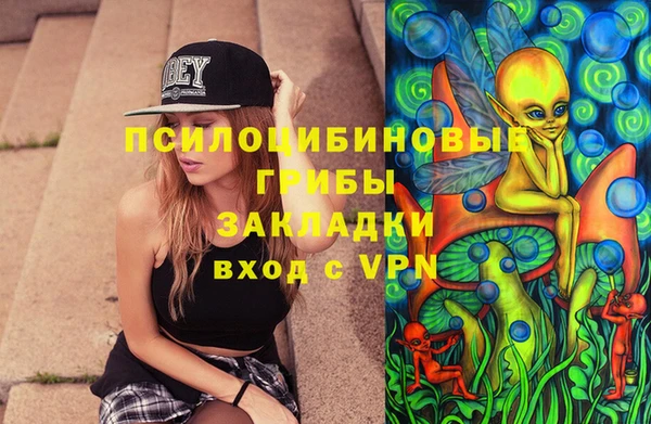 mdpv Богданович