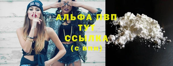спиды Верея