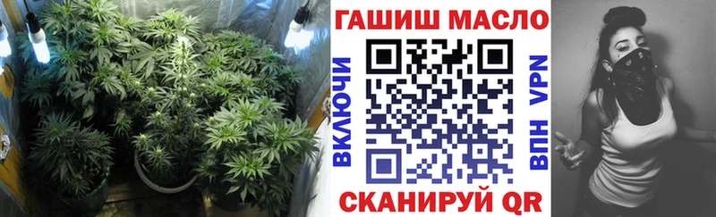 Купить где Выкса ТГК гашишное масло